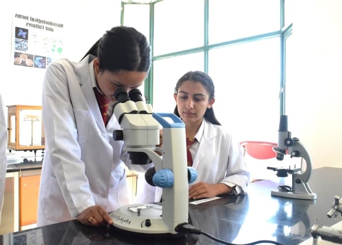 APG Shimla University Infrastructure photo 15